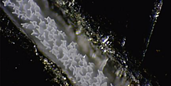 1715310634165516.png paste1584958136790.png